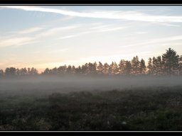 IMGP2898-Morgenstemning-over-Kongenshus